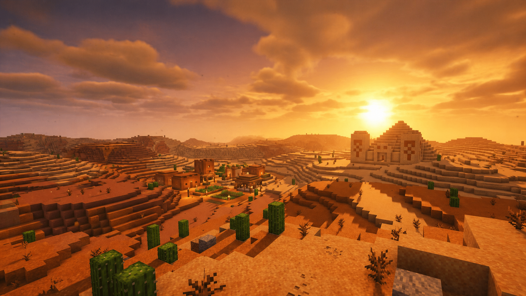 DESERT Biome